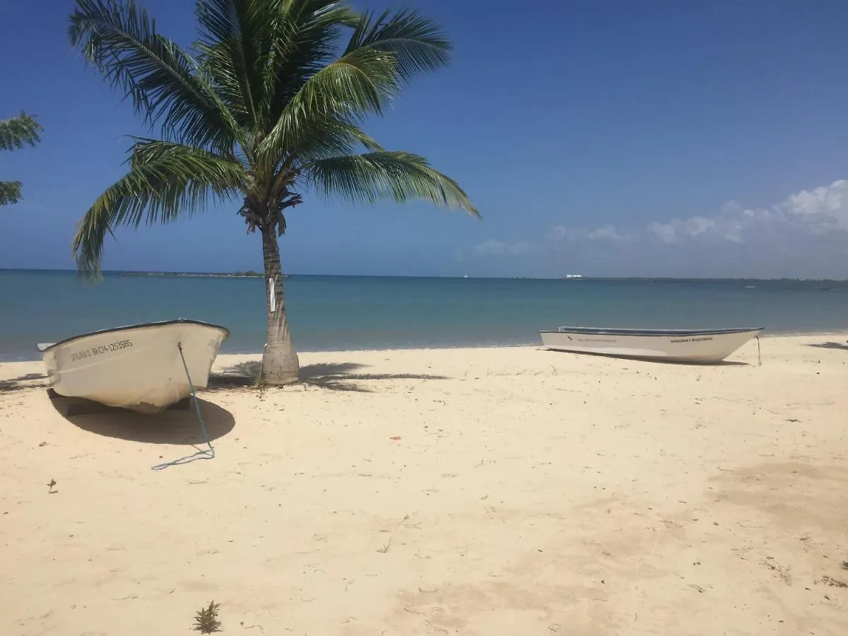 Villa Real Playa Nueva Romana La Romana République dominicaine